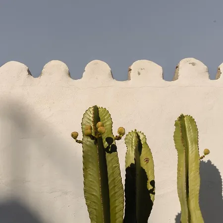 Guest house Casa Uva - Boutique Vejer de la Frontera